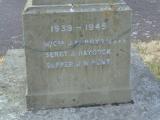 image of grave number 786479